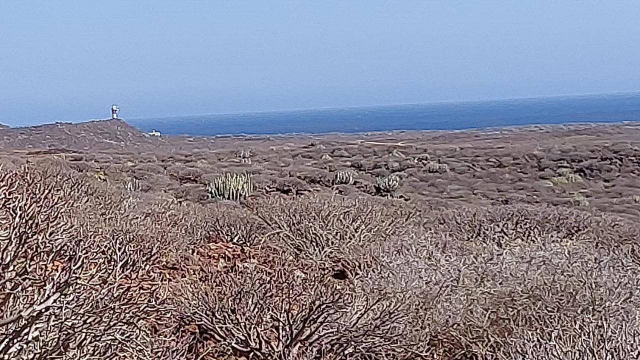 Paraiso Del Palm Mar 外观 照片