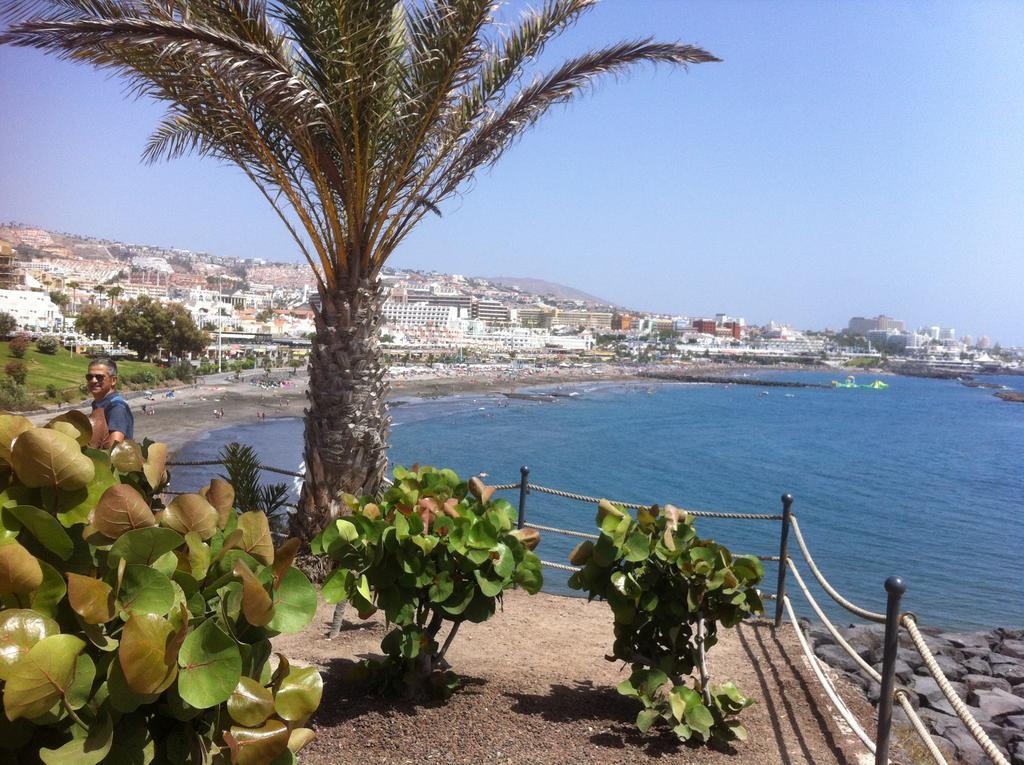 Paraiso Del Palm Mar 外观 照片